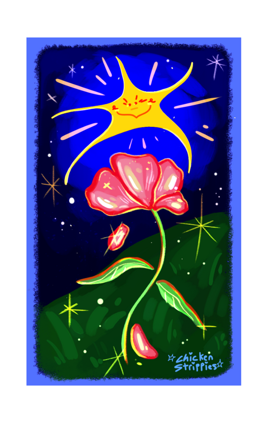 Star flower
